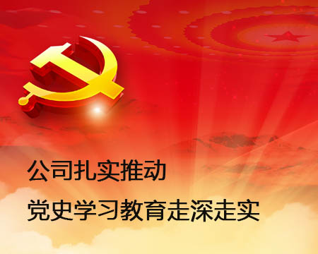 公司扎实推动党史学习教育走深走实